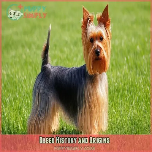 Breed History and Origins