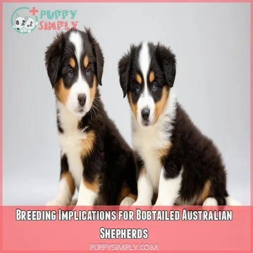 Breeding Implications for Bobtailed Australian Shepherds