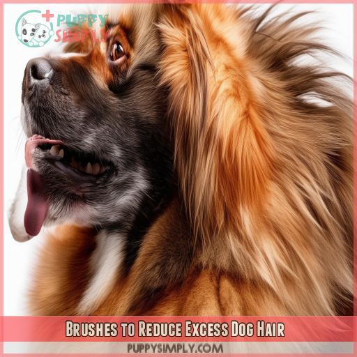 Brushes to Reduce Excess Dog Hair