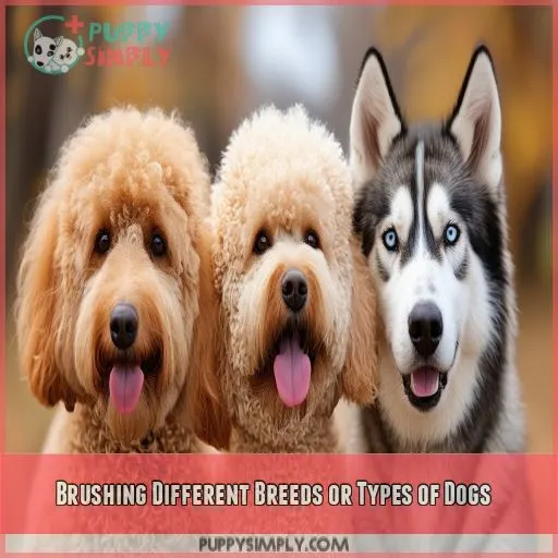 Brushing Different Breeds or Types of Dogs