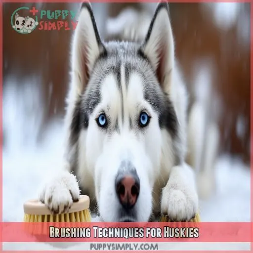 Brushing Techniques for Huskies