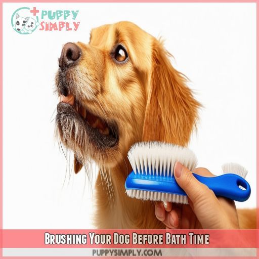 Brushing Your Dog Before Bath Time