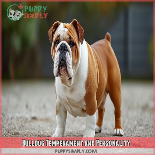 Bulldog Temperament and Personality