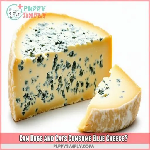 Can Dogs and Cats Consume Blue Cheese