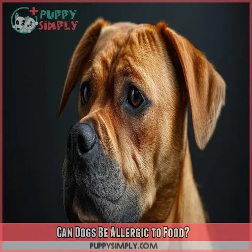 Can Dogs Be Allergic to Food