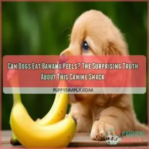 can dogs eat banana peels