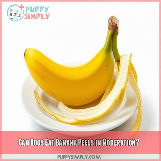 Can Dogs Eat Banana Peels in Moderation