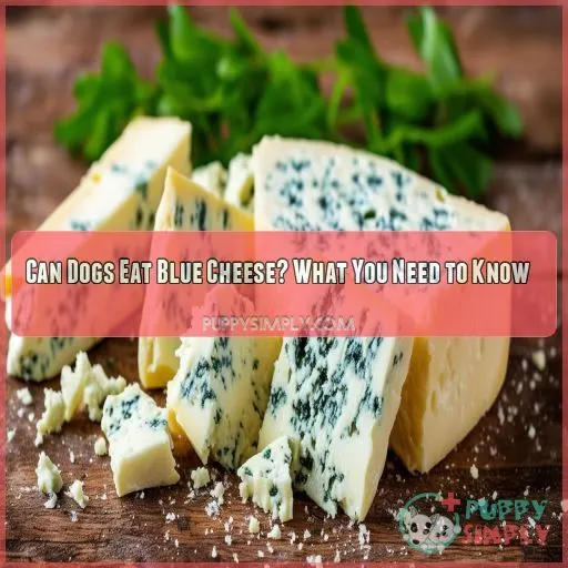 can dogs eat blue cheese