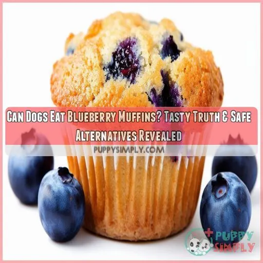 can dogs eat blueberry muffins