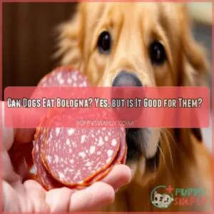 Can Dogs Eat Bologna