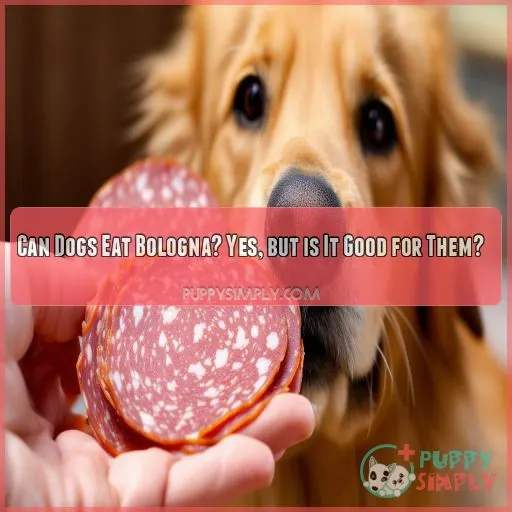 can dogs eat bologna