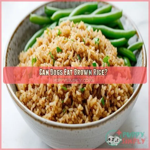 Can Dogs Eat Brown Rice