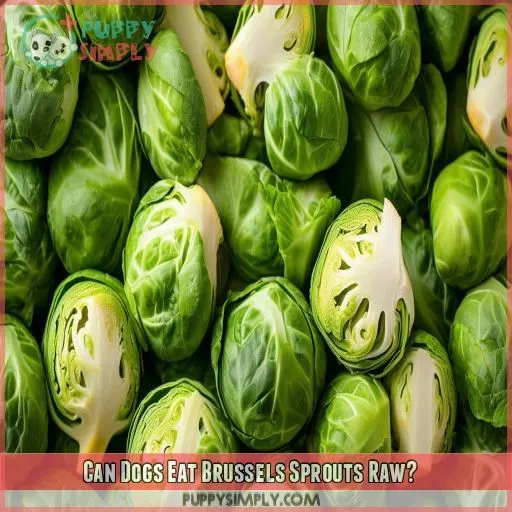 Can Dogs Eat Brussels Sprouts Raw