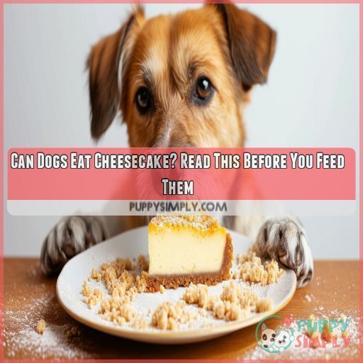 can dogs eat cheesecake can dogs eat cheesecake