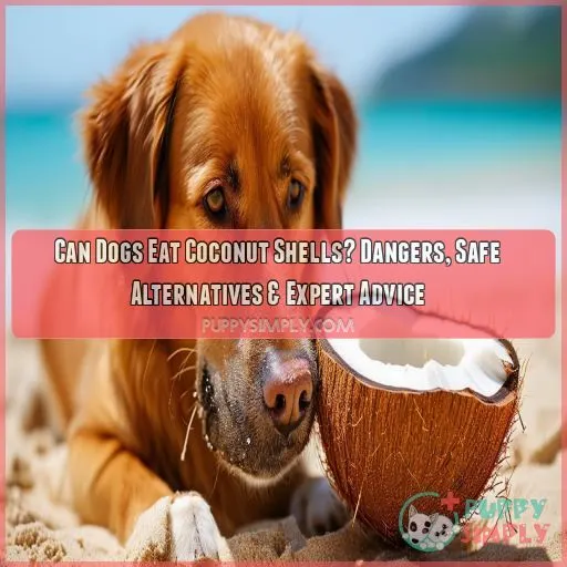 can dogs eat coconut shells