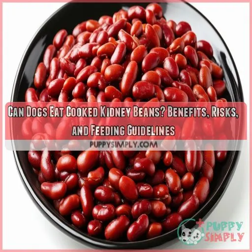 can dogs eat cooked kidney beans