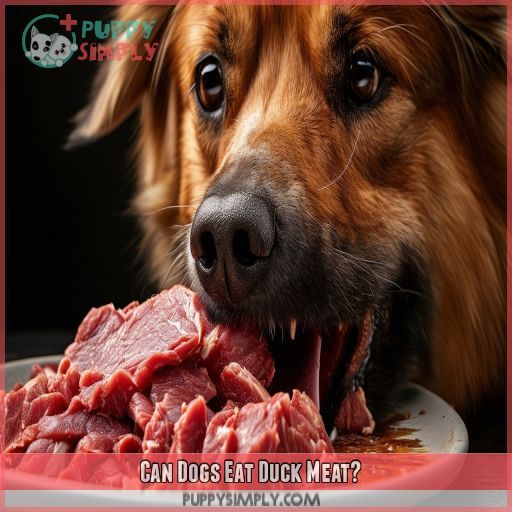 Can Dogs Eat Duck Meat