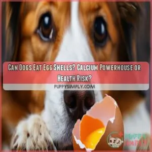 can dogs eat egg shells