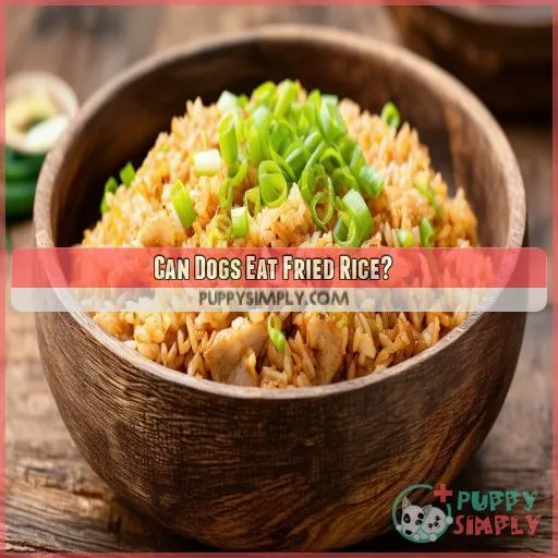 Can Dogs Eat Fried Rice