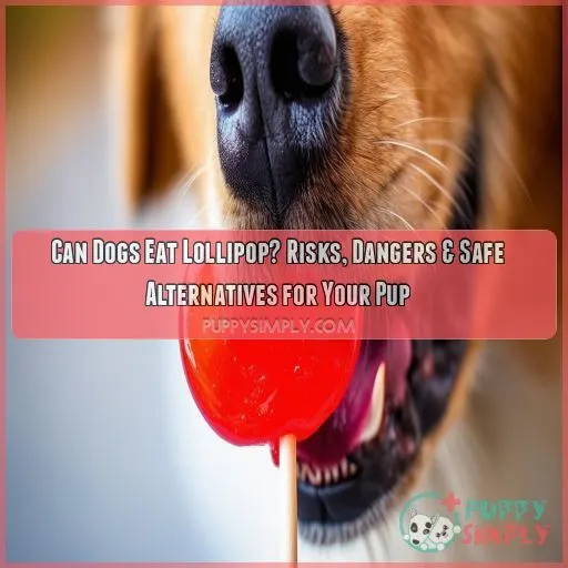 can dogs eat lollipop