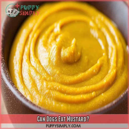 Can Dogs Eat Mustard