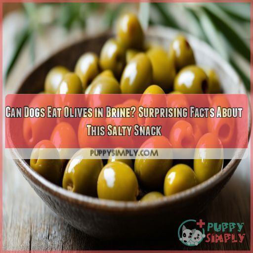 Can Dogs Eat Olives in Brine? Surprising Facts About This Salty Snack