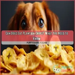 Can Dogs Eat Plantain Chips