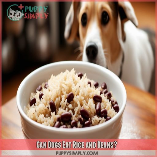 Can Dogs Eat Rice and Beans