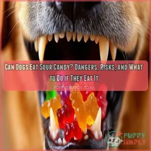 can dogs eat sour candy