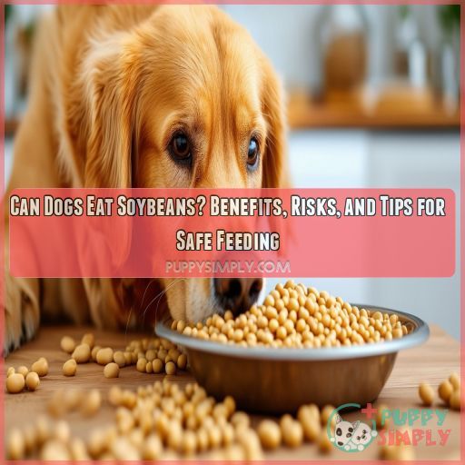 can dogs eat soybeans