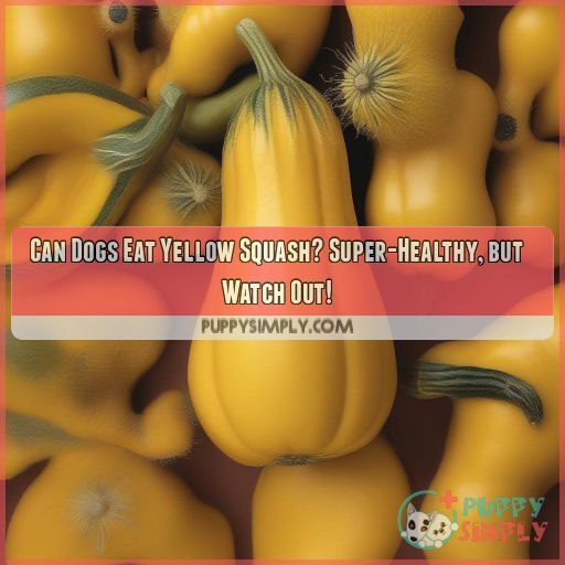 Can Dogs Eat Yellow Squash? SuperHealthy, but Watch Out!