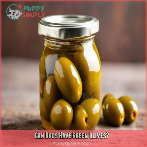 Can Dogs Have Green Olives