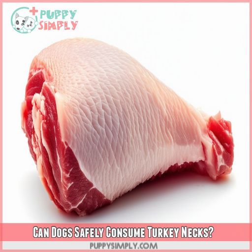 Can Dogs Safely Consume Turkey Necks