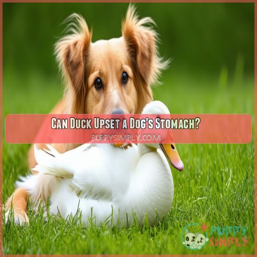 Can Duck Upset a Dog