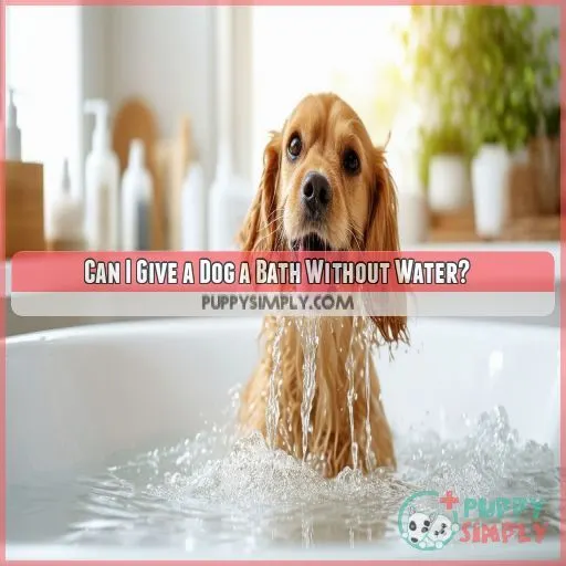 Can I Give a Dog a Bath Without Water