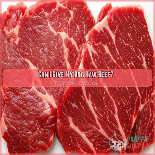 Can I Give My Dog Raw Beef