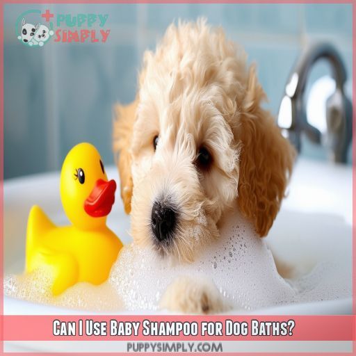 Can I Use Baby Shampoo for Dog Baths