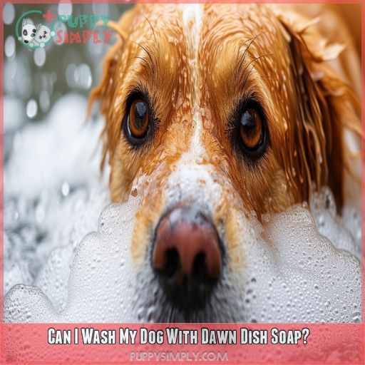 Can I Wash My Dog With Dawn Dish Soap