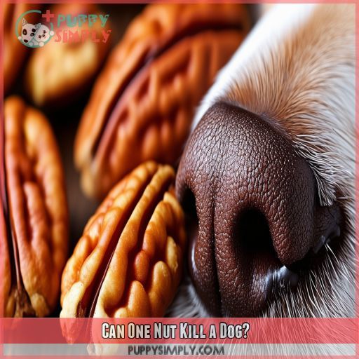 Can One Nut Kill a Dog