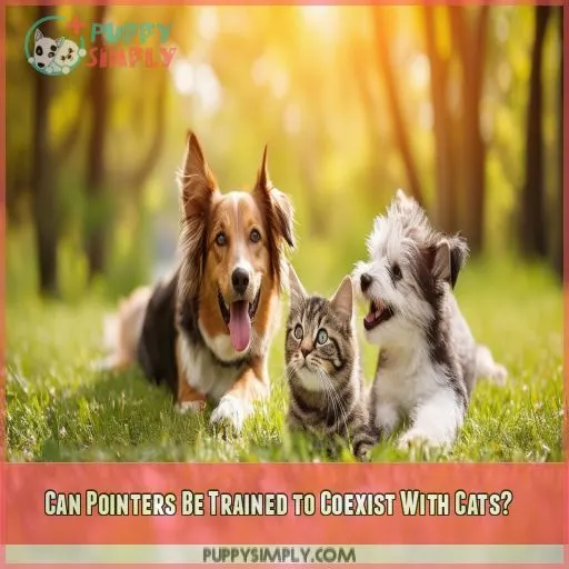 Can Pointers Be Trained to Coexist With Cats