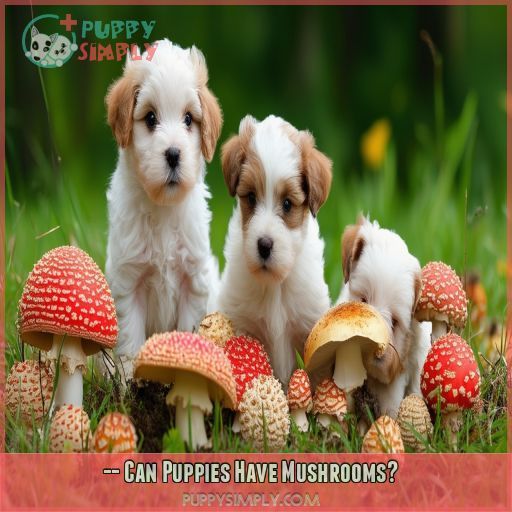 -- Can Puppies Have Mushrooms