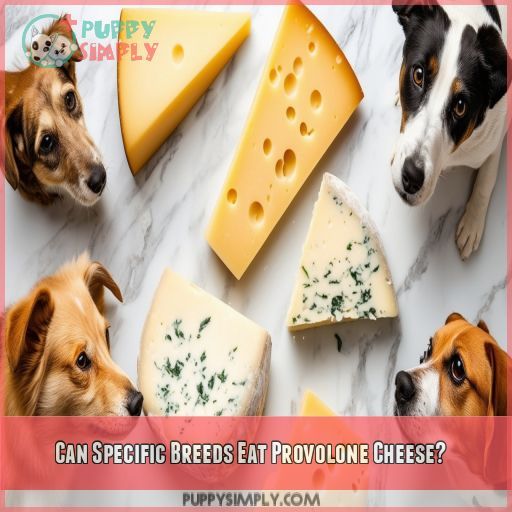 Can Specific Breeds Eat Provolone Cheese