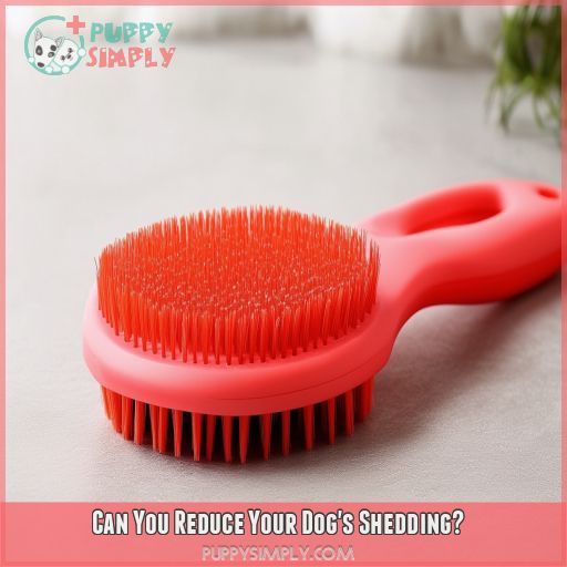 Can You Reduce Your Dog