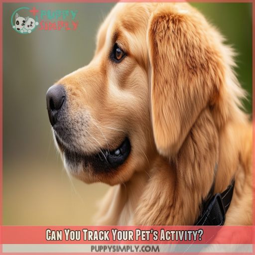 Can You Track Your Pet