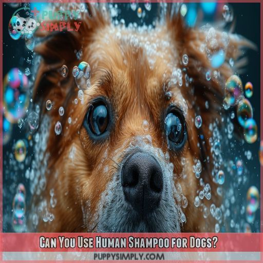 Can You Use Human Shampoo for Dogs