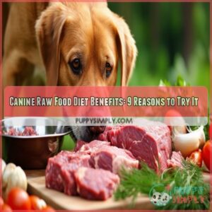 Canine raw food diet benefits