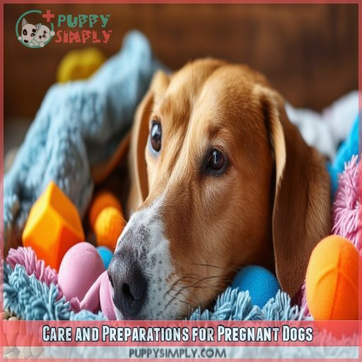 Care and Preparations for Pregnant Dogs