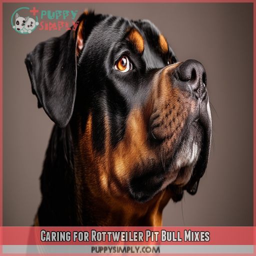 Caring for Rottweiler Pit Bull Mixes