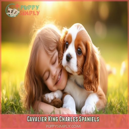 Cavalier King Charles Spaniels