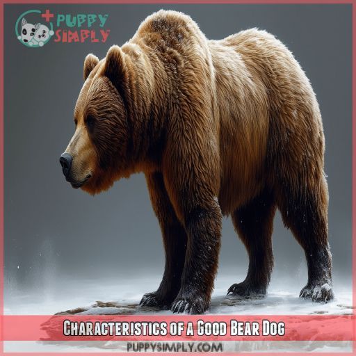 Characteristics of a Good Bear Dog